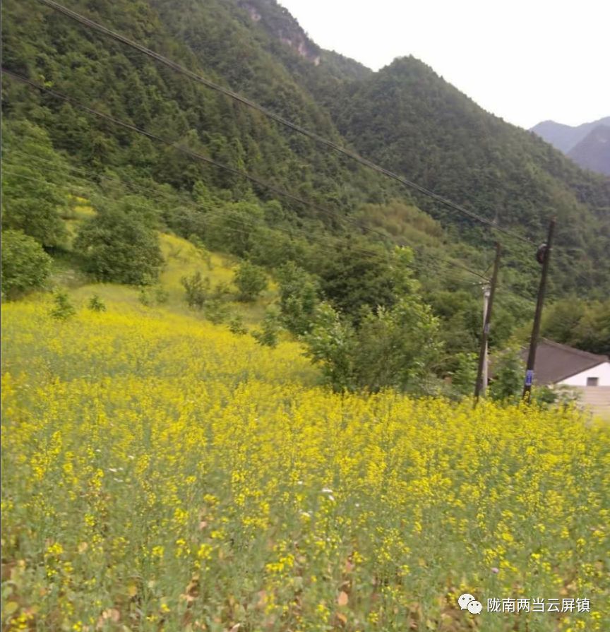 庆祝新中国成立70周年活动记录,庆祝新中国成立70周年视频