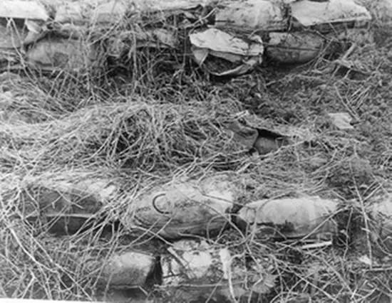 杀人回忆里真凶被抓,杀人回忆的凶手怎么被抓住的