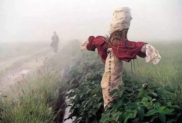 杀人回忆里真凶被抓,杀人回忆的凶手怎么被抓住的