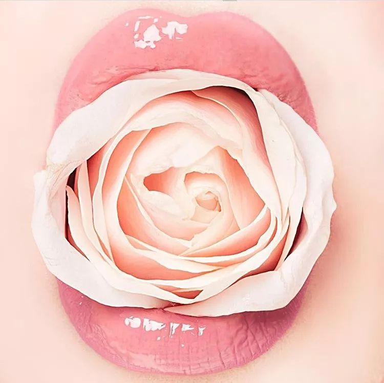 又美又好用的小众洗护，藏着你对生活的细腻追求