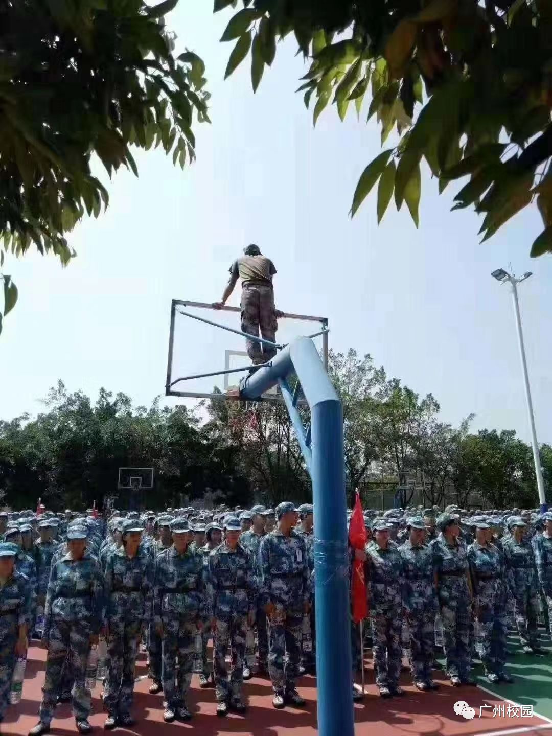 太难了！广东一高校教官爬上篮球架检查新生军姿，你还敢动吗？