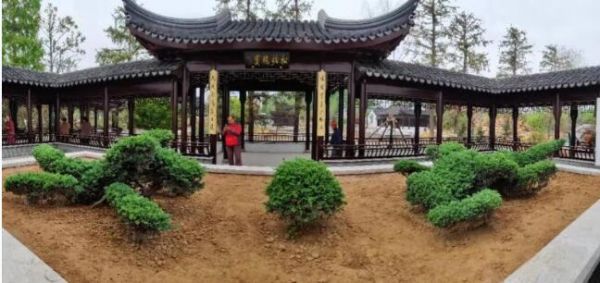 沭阳农旅融合助力乡村振兴,发展乡村旅游促进乡村振兴的建议