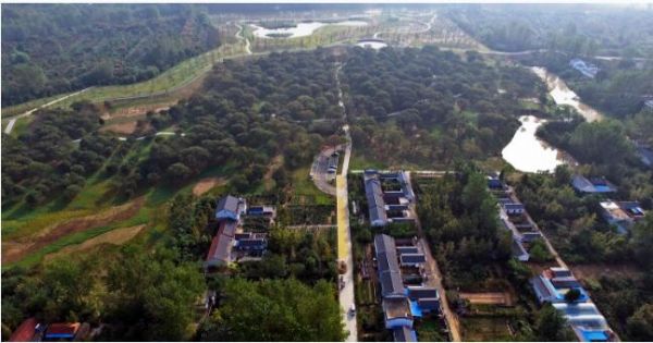 沭阳农旅融合助力乡村振兴,发展乡村旅游促进乡村振兴的建议