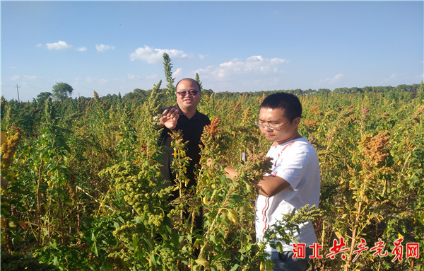 县级贫困户拔穷根,张北脱贫致富