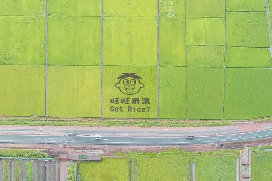 旺旺雪米饼仙贝,旺旺雪米饼到底有多好吃