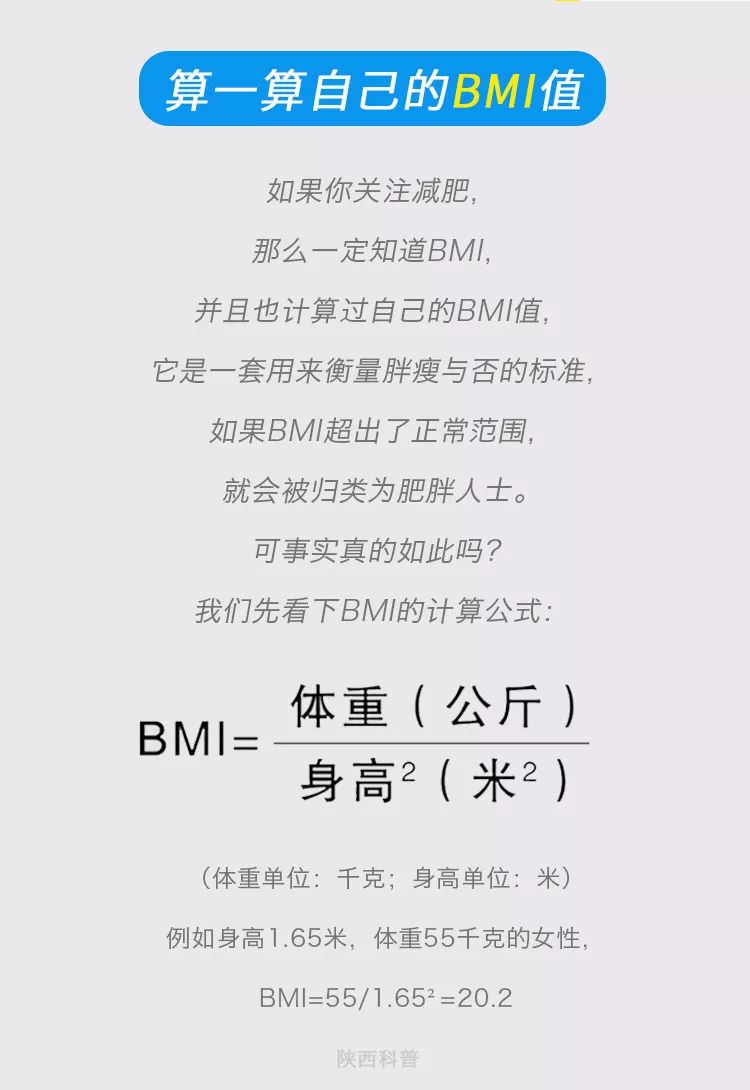 减肥看体脂率有用还是看bmi有用,减肥前要知道bmi值是多少