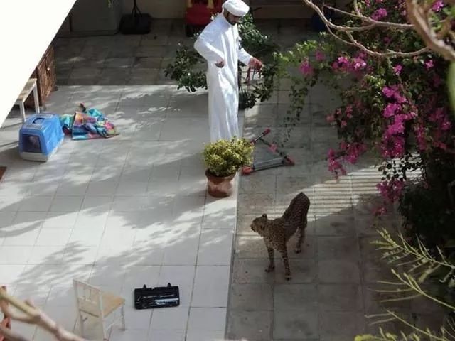 中国和迪拜谁有钱,迪拜沙特哪个有钱