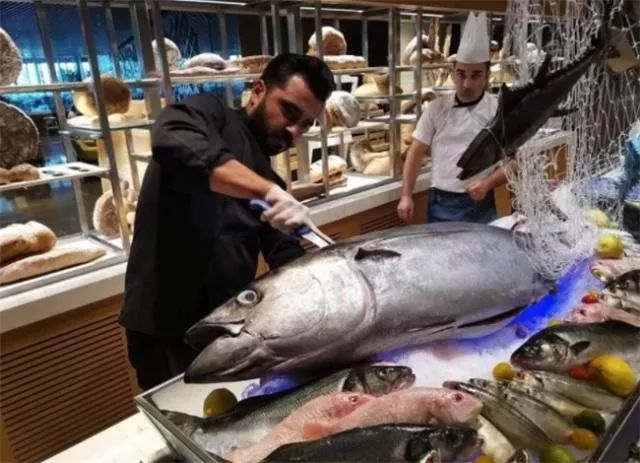 中国和迪拜谁有钱,迪拜沙特哪个有钱