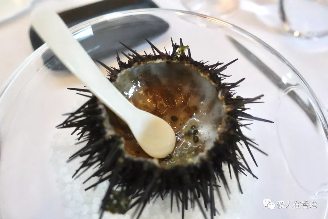 北京比较垃圾的高端餐厅,北京曾经很火如今不咋样的餐厅