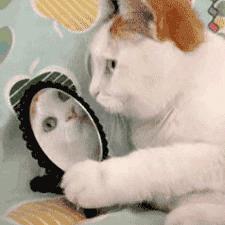 麻范儿好物|10秒卖出4万瓶！明星网红纷纷推荐，没有它，涂再好的口红也没用