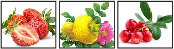 麻范儿好物|10秒卖出4万瓶！明星网红纷纷推荐，没有它，涂再好的口红也没用