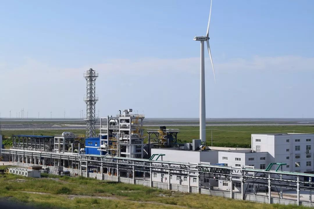 老马的一天600字记叙文骆驼祥子 (老马开心的一天)