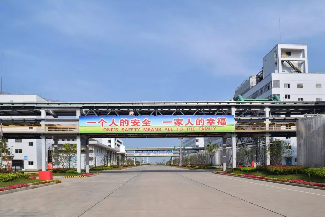 老马的一天600字记叙文骆驼祥子 (老马开心的一天)