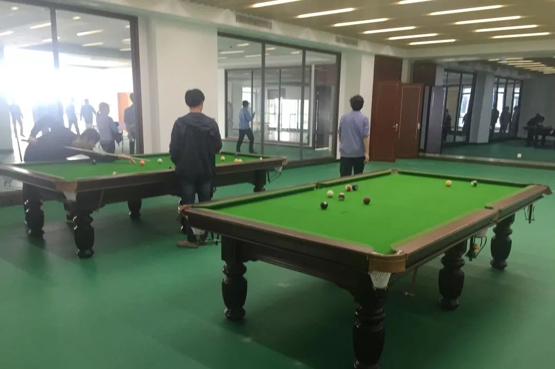 老马的一天600字记叙文骆驼祥子 (老马开心的一天)