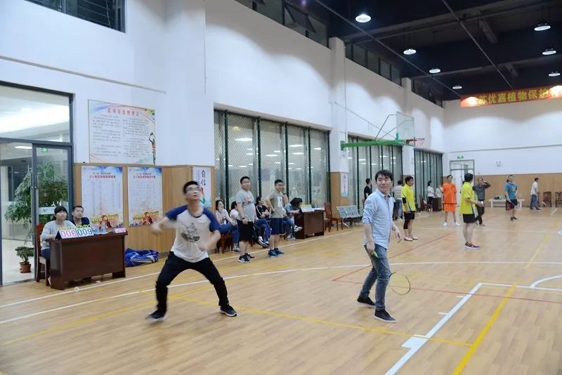 老马的一天600字记叙文骆驼祥子 (老马开心的一天)