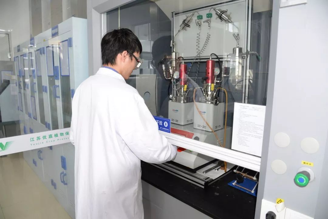 老马的一天600字记叙文骆驼祥子 (老马开心的一天)