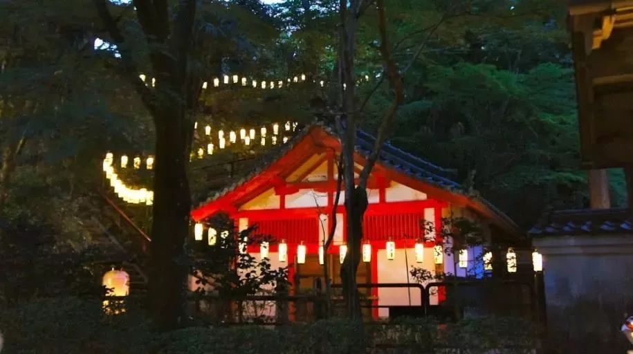 但愿人长久千里共婵娟台湾,但愿人长久日本