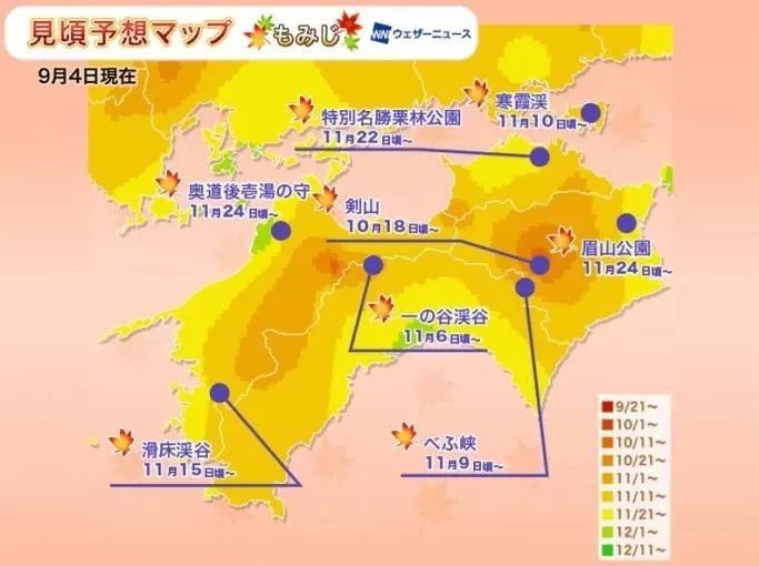 日本银杏叶保存,2019日本赏银杏