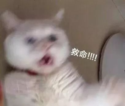 护肤好物你一定要知道,一定要知道的护肤好物