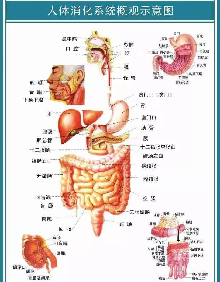 气温骤降提醒人注意抗寒,气温骤降请注意保重身体