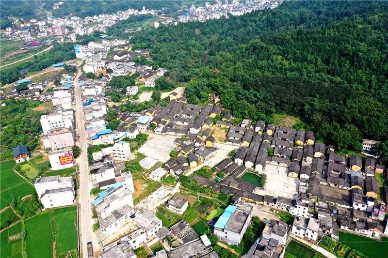 平南新消息,平南最新动态