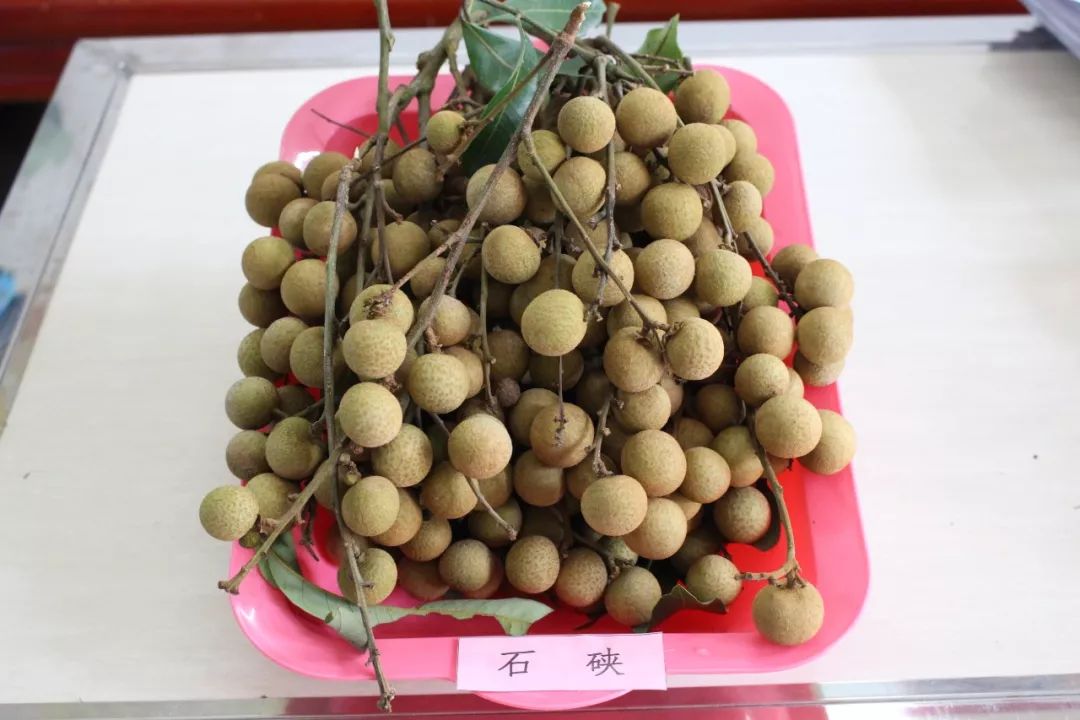 平南新消息,平南最新动态