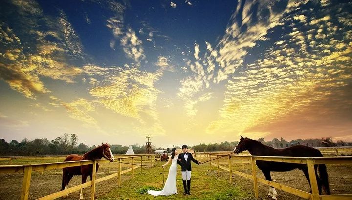 1130属于什么星座,1130什么星座