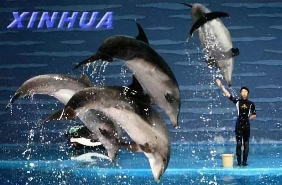 大连海岛四日游价格表最新,国庆节大连四日游