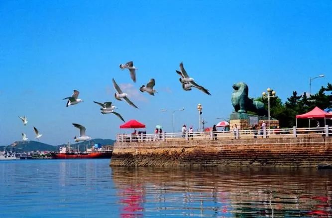 大连海岛四日游价格表最新,国庆节大连四日游