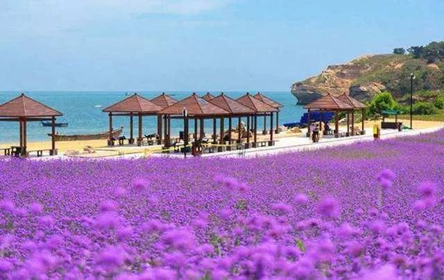 大连海岛四日游价格表最新,国庆节大连四日游