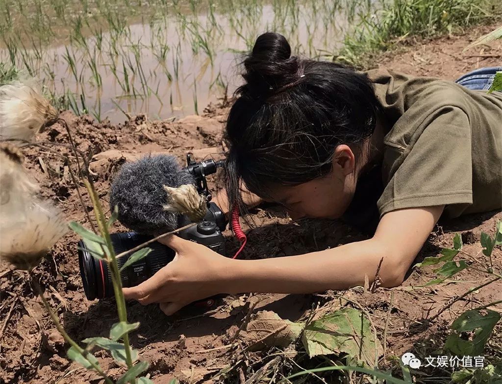 蔡徐坤李子柒,收入过亿的网红名单