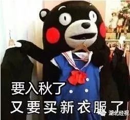 武汉有重磅喜讯传来,湖北武汉好消息