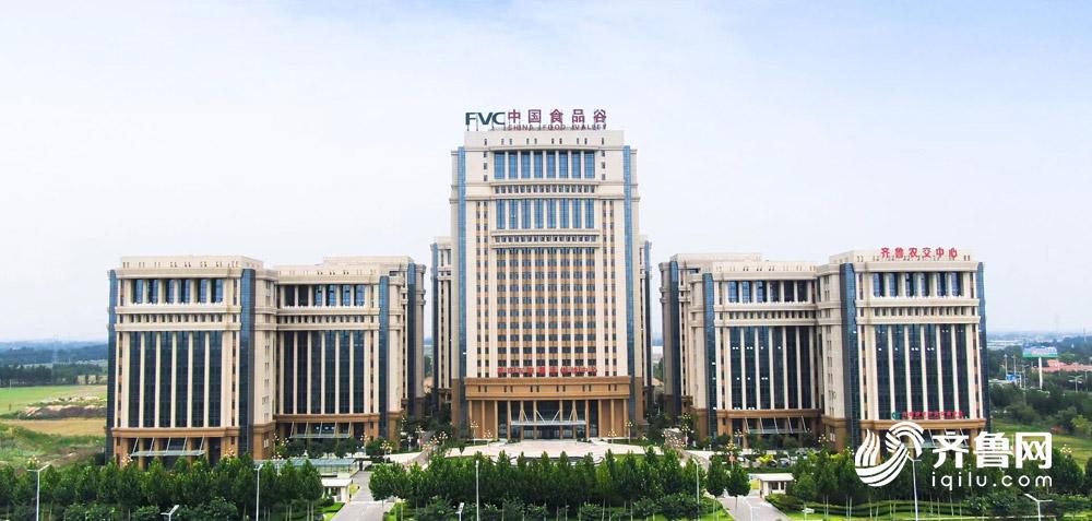 潍坊寒亭画乡如画,鸢都新城潍坊