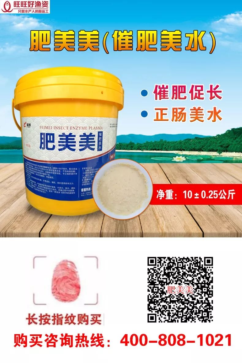 高温天气，南美白对虾“肠炎、拖便”频发，如何才能安稳度过肠炎高发期？