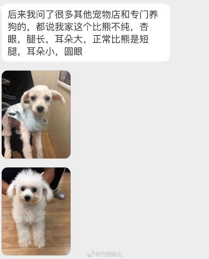 怎么看一家宠物店正不正规,怎么看宠物店有没有坑你