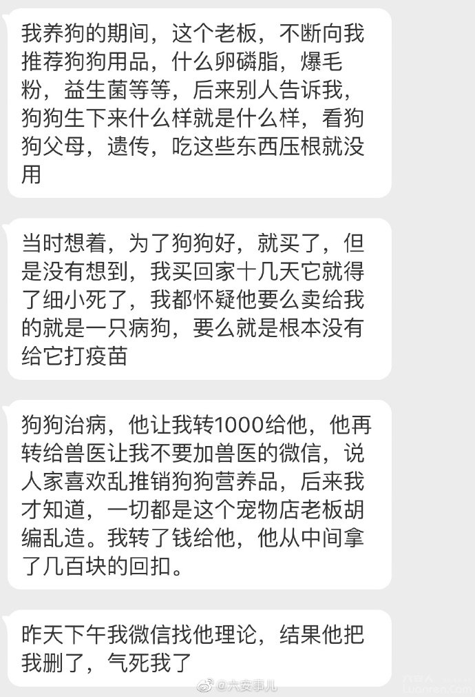 怎么看一家宠物店正不正规,怎么看宠物店有没有坑你