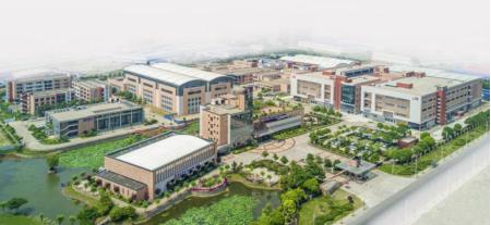 瀹岀編鎵ц鏀跨瓥,瀹岀編鍥介檯