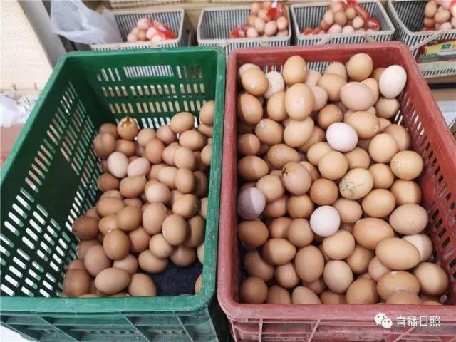 2019年12月日照海鲜价格表,日照海鲜今日价格