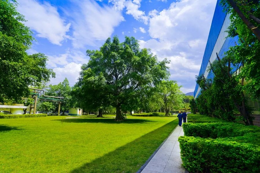 壮丽70年奋斗新时代的相关资料,攀钢发展历程