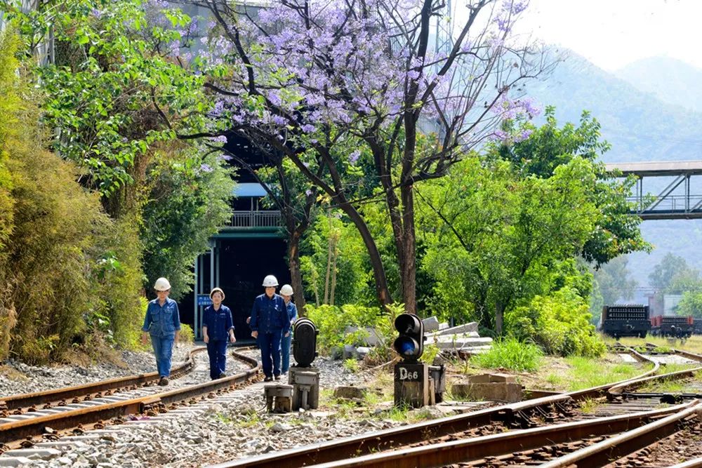 壮丽70年奋斗新时代的相关资料,攀钢发展历程