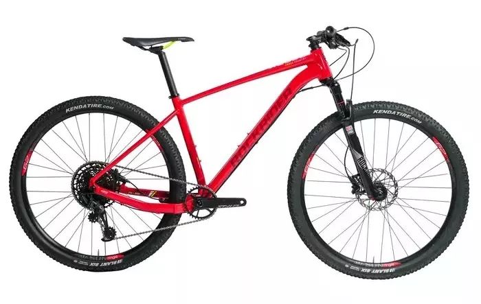 入门迪卡侬自行车,入门公路车迪卡侬