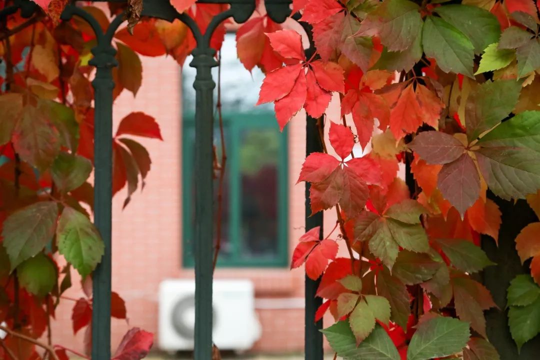 在人大读研究生是什么体验,人大硕士申请