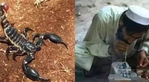 蝎子烟,蝎子烟有什么危害