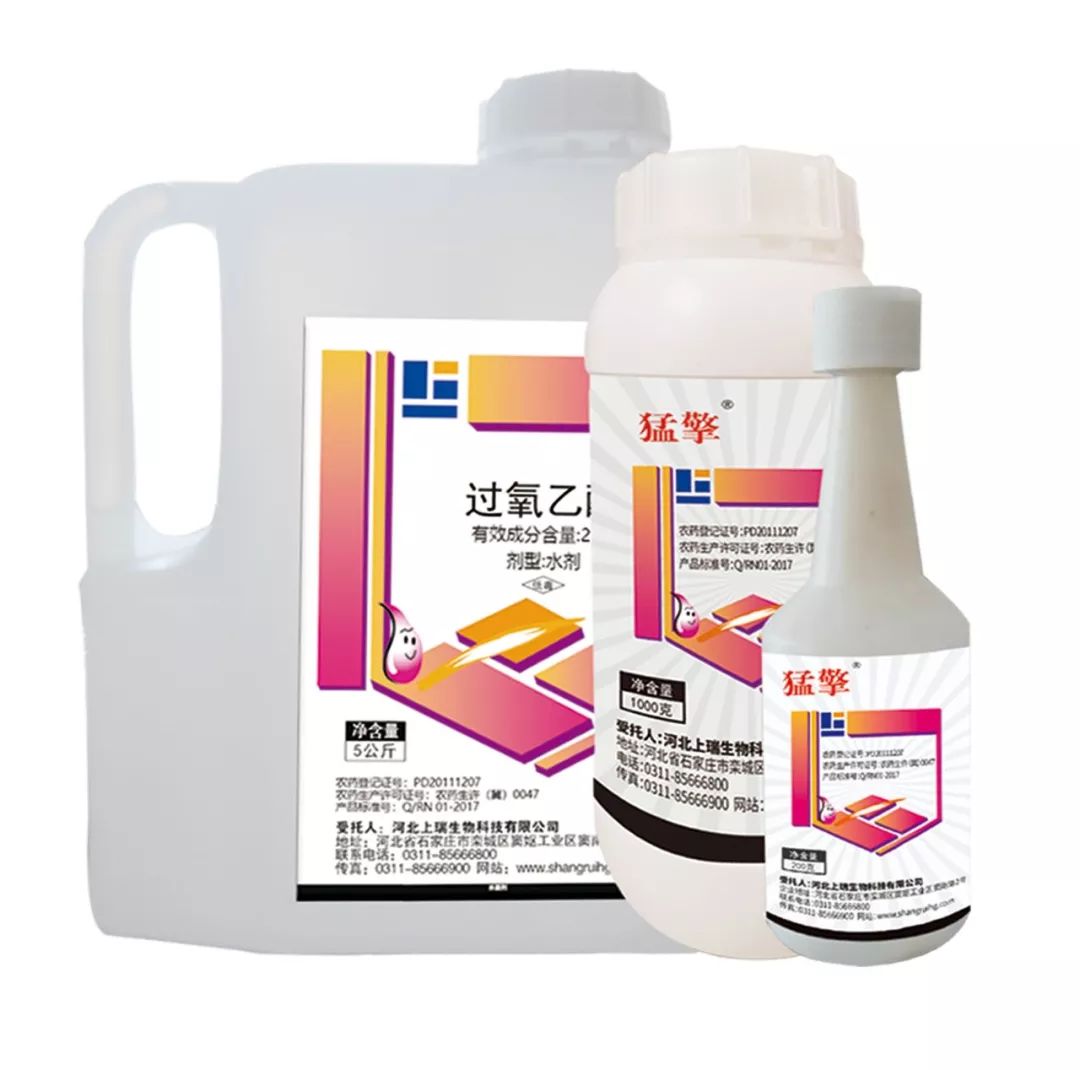 强力除青苔,除青苔的好处