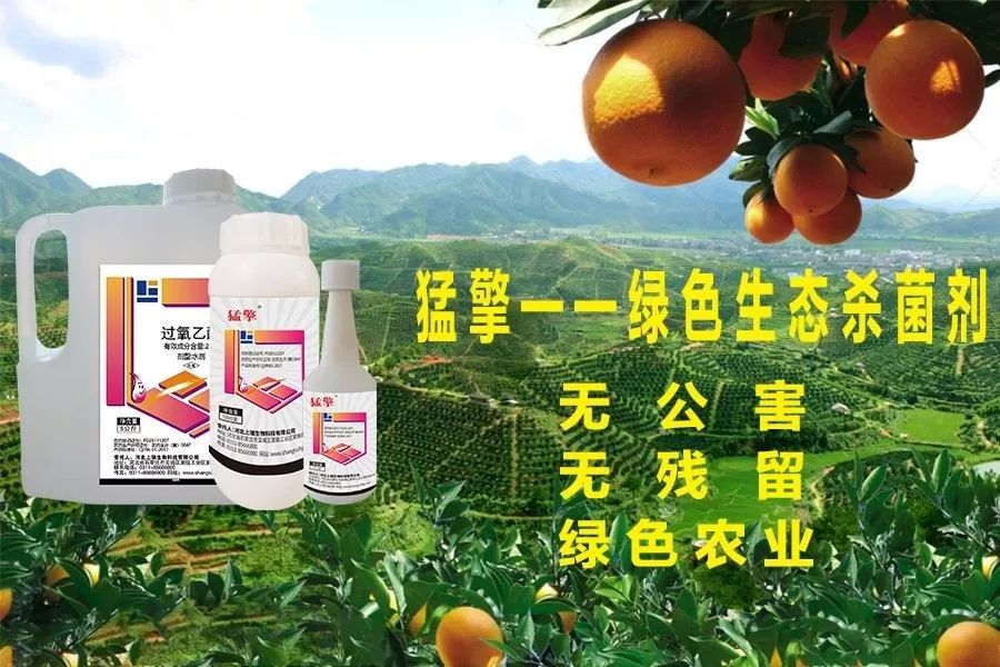 强力除青苔,除青苔的好处