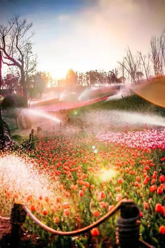 弥勒太平湖国际旅游度假,五一弥勒太平湖免费景区