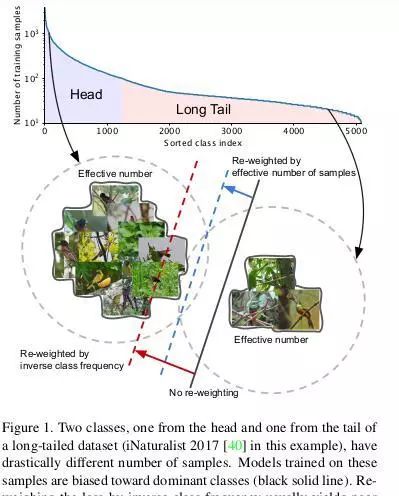 CVPR2019|面对高度不均衡数据如何提高精度？这篇文章有妙招