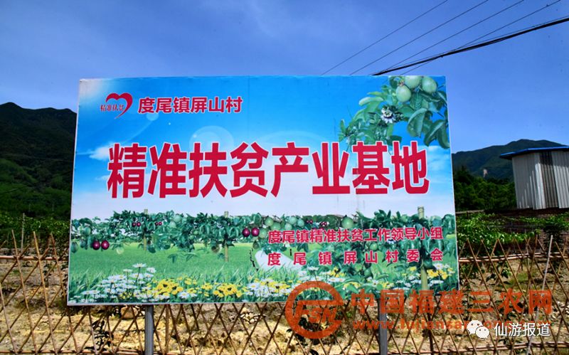 点赞！度尾这个村庄贫困户入股多个项目拿分红