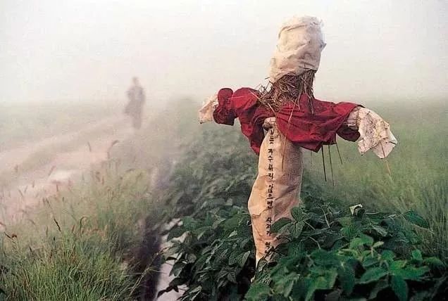 华城连环杀人案官方最终报道,韩国华城连环杀人案34年后结案