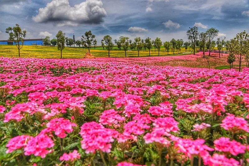 弥勒太平湖国际旅游度假,五一弥勒太平湖免费景区
